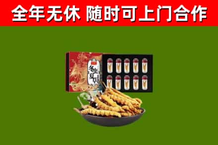 永平回收冬虫夏草价格
